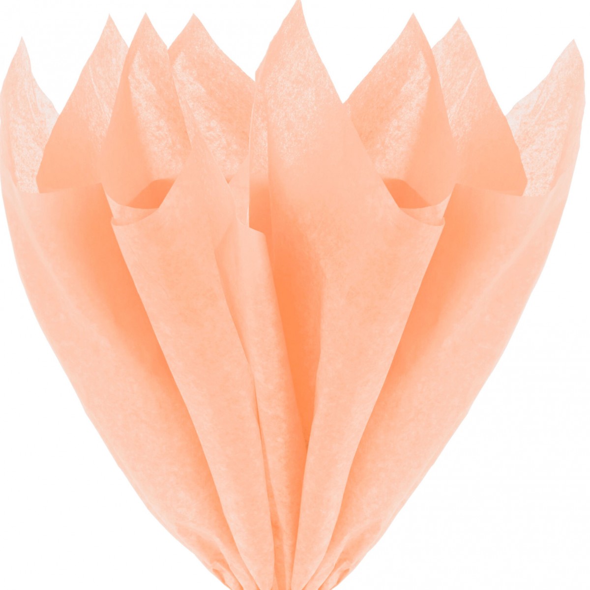 7575 Peach Tissue Floral Wraps - 100 Sheets